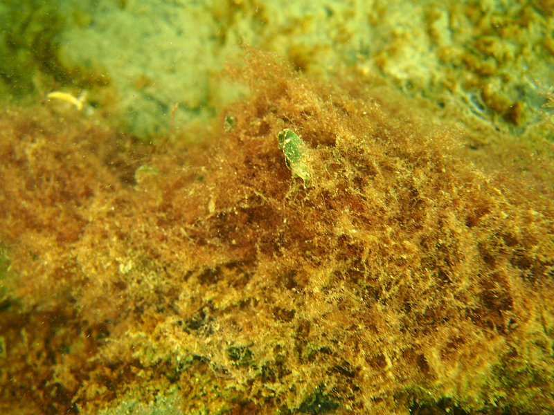 2014-03-29 15-29-03.JPG